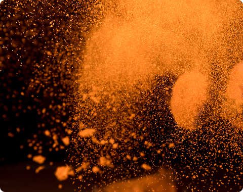 Date Seed Powder