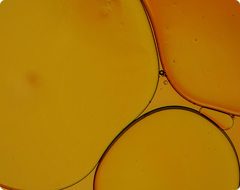 Date Kernel Oil